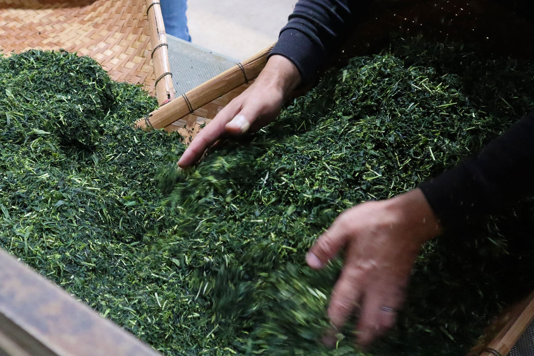 Japanese Sencha: From Leaf to Cup