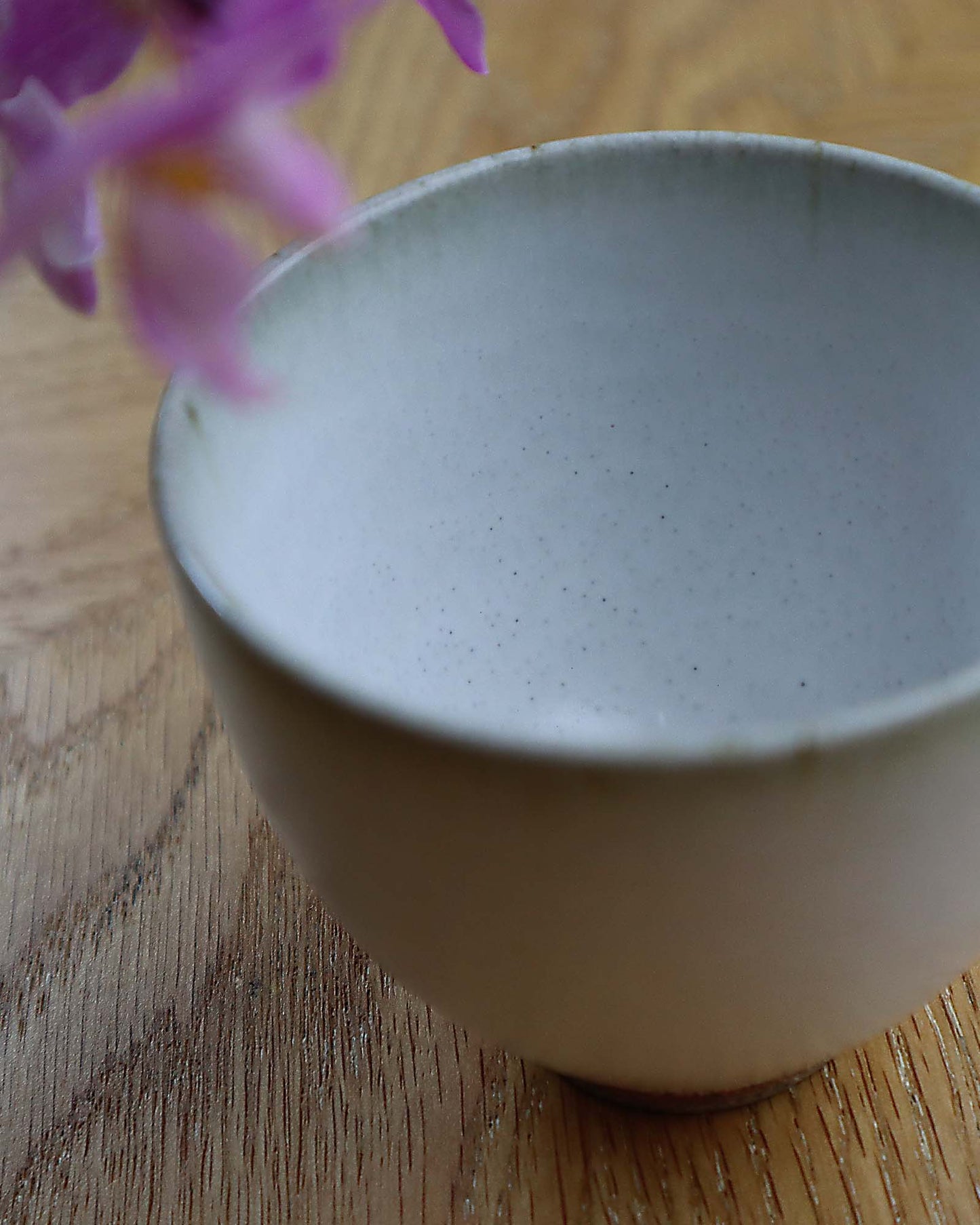 Zansetsu "Remaining Snow" Teacup